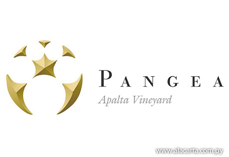 Pangea Syrah 93 puntos en guía Mujer y Vino 2014