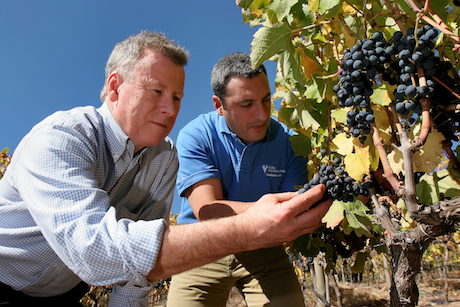 Ventisquero Enclave 2010. El hallazgo de Maipo Alto