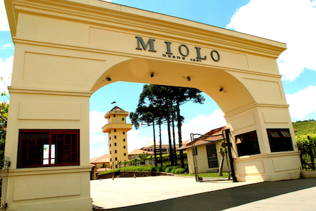 Miolo: vinos finos de Río Grande do Sul