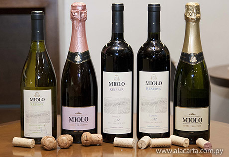 Cata de vinos Miolo en el Molinillo de Casa Rica
